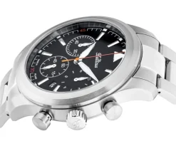 Balticus Flying Seal