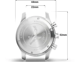 Balticus Flying Seal