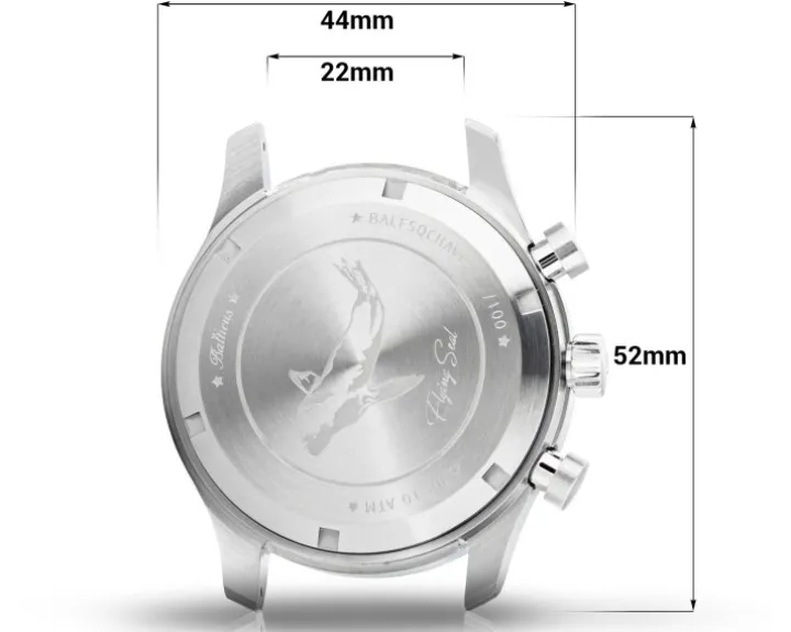 Balticus Flying Seal