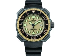 Citizen Promaster Diver Eco-Drive