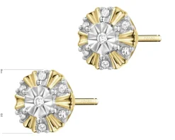 Kolczyki z żółtego złota z diamentami - 0,05 ct - próba 375