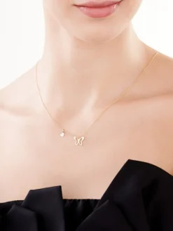 Naszyjnik srebrny - motyl, serce