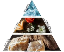 Patyczki zapachowe - dyfuzor Cherry Blossom (430 ml)