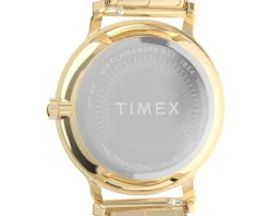 Timex Transcend
