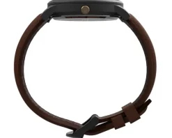 Timex Waterbury Classic