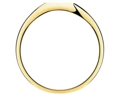 Złoty pierścionek - sygnet